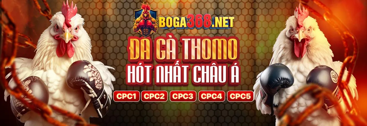 Đá gà kịch tính tại 789alo chính thức